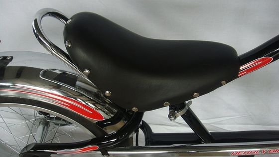Chopper Bike Black Low Rider Fashion Bike with F Disc Brake R V-Brake Technology
