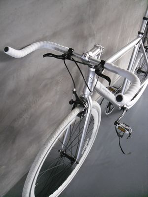 CE Certified Aluminum Frame 700C Single Speed Track Bicycle for Your Requirements