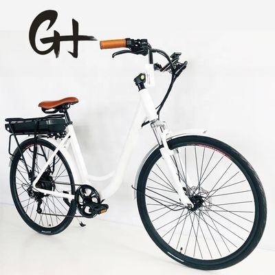 500W/48V/14Ah Rear Rack Lithium Battery Electric City Bike for Women Lady 35KM/H