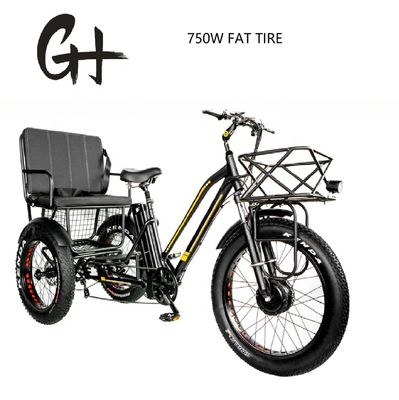 Bafang 750W Motor Electric Tricycle with Fat Tire E Three Wheels and Passenger Seat