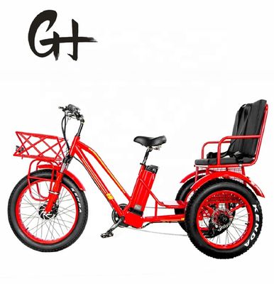 Bafang 750W Motor Electric Tricycle with Fat Tire E Three Wheels and Passenger Seat