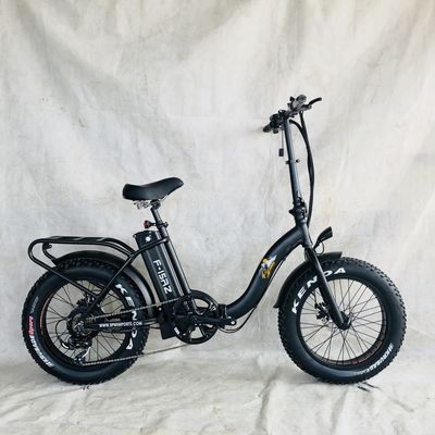 Folding 20 inch electric bike with 48V 500W 750W 1000W motors and step-through design