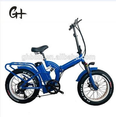 Folding 20 inch electric bike with 48V 500W 750W 1000W motors and step-through design