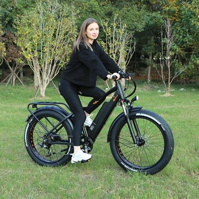 48V 1000W 17AH Lithium Battery OEM EN15194 CE Customized Electric MTB Mountain Fat Tire Bike
