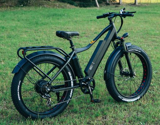 48V 1000W 17AH Lithium Battery OEM EN15194 CE Customized Electric MTB Mountain Fat Tire Bike