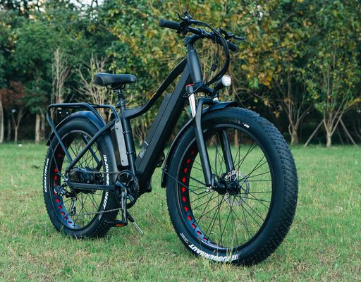 48V 1000W 17AH Lithium Battery OEM EN15194 CE Customized Electric MTB Mountain Fat Tire Bike