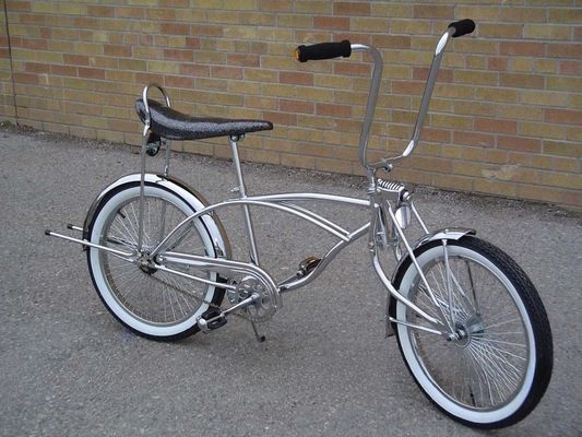 Low Rider Bicycle 20 Inch Cruiser Bike with Banana Seat and 13kg Gross Weight