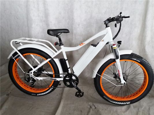 Disc Brake 750W 48V Lithium Battery Adult E Bike Fat Tire Electric Bike 26 inch with Max Speed of 30-50Km/h