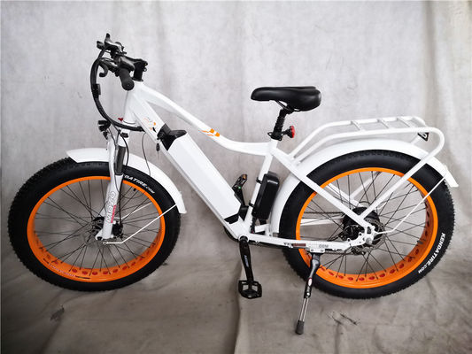 Disc Brake 750W 48V Lithium Battery Adult E Bike Fat Tire Electric Bike 26 inch with Max Speed of 30-50Km/h