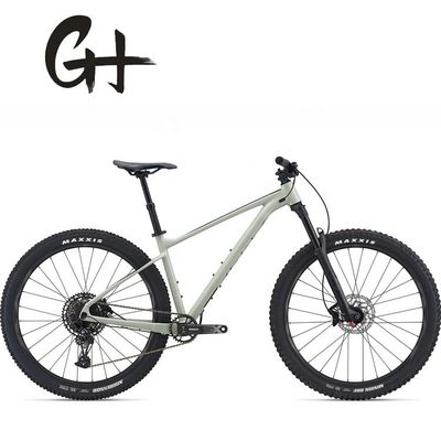 29inch Mountain Bike with SRAM 11 Speed Front Suspension Fork and Aluminium Alloy Frame OEM