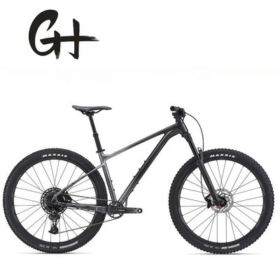 29inch Mountain Bike with SRAM 11 Speed Front Suspension Fork and Aluminium Alloy Frame OEM