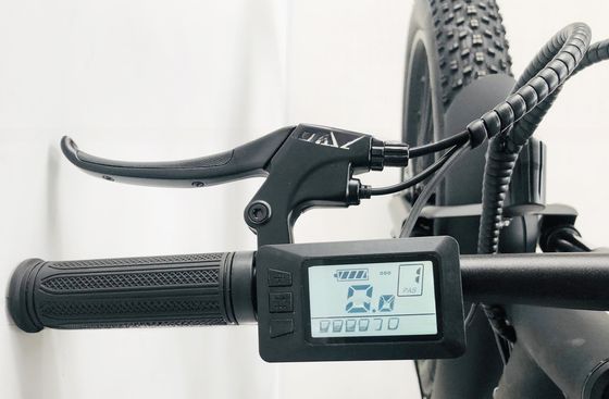 26 inch PAS 750W 1000W 48V Lithium Battery Fat Tire Mountain Electric Bike for Adult Men