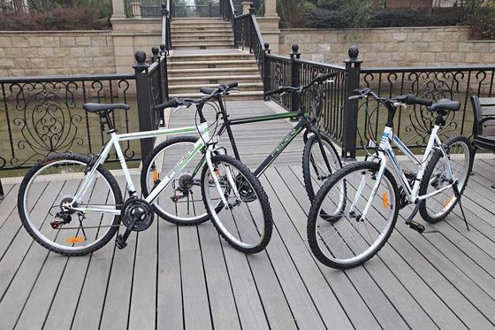 Experience the Ultimate Ride with Our Men's 21 Speed Mountain Bicycle