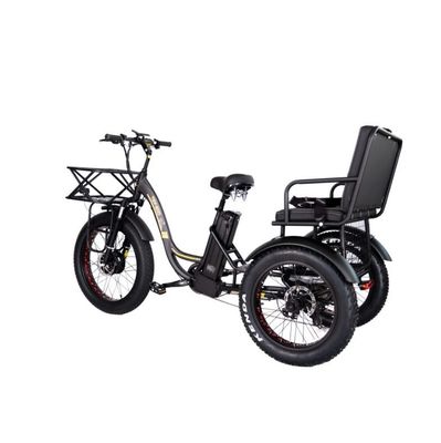 Electric Bicycle Rickshaw Taxi with 48V 1000W Motor Bafang Crank and Kenda 24*4.0 Tire