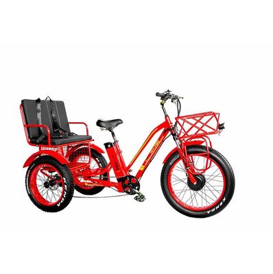 Electric Bicycle Rickshaw Taxi with 48V 1000W Motor Bafang Crank and Kenda 24*4.0 Tire