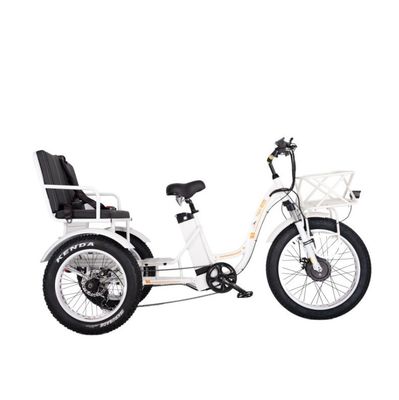 Electric Bicycle Rickshaw Taxi with 48V 1000W Motor Bafang Crank and Kenda 24*4.0 Tire