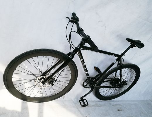 700C Disc Brake American Racing Bike with CR-MO Steel and Shimano 7S OEM/ODM CPSC