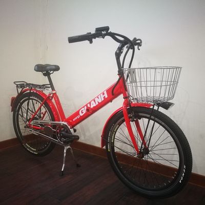 Charging Time 3 Hours 26&quot; Electric Bike with 350W Motor and 8.8Ah Lihtium Battery