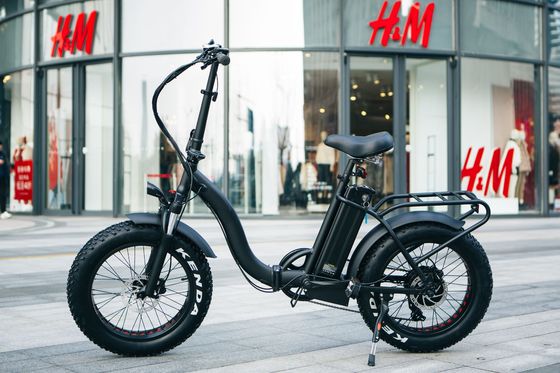 7 Speed 20&quot; 48V 750W 14AH 20MPH Lithium Battery OEM UL2849 USA Market Adult Lady Women Electric Folding Snow Big Flat Tire Bike