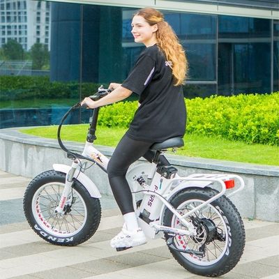 48V 21ah Lithium Battery CE Certified 1000W 50KM/H Big Snow Fat Tire Electric Folding Bike Full Suspension