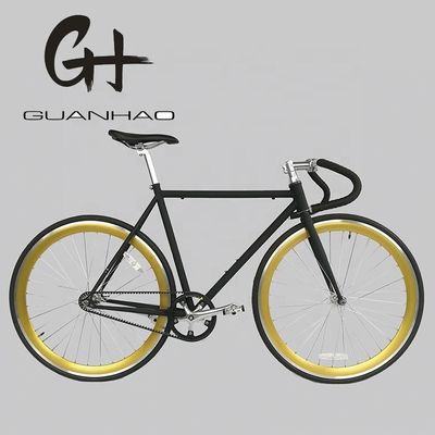 13kg Gross Weight Belt Drive Fixed Gear Bike with Hi-Ten Steel Frame and Style Design