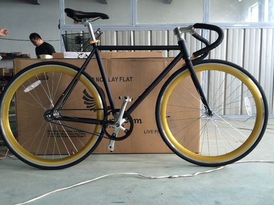 13kg Gross Weight Belt Drive Fixed Gear Bike with Hi-Ten Steel Frame and Style Design