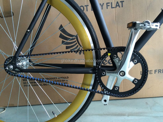 13kg Gross Weight Belt Drive Fixed Gear Bike with Hi-Ten Steel Frame and Style Design
