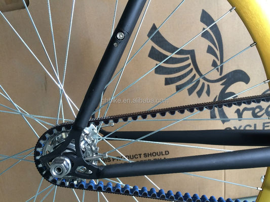 13kg Gross Weight Belt Drive Fixed Gear Bike with Hi-Ten Steel Frame and Style Design