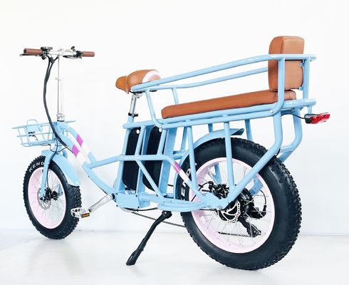 20&quot; 48V 1000W Dual Batteries 34AH Lithium Battery 50KM/H Rear Hub Motor Snow Electric Bike
