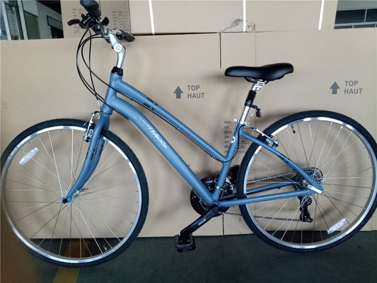 Customize Aluminum Frame 21S Women's Urban Bike Fitness Bikes Hybrid Bicycle for Adult