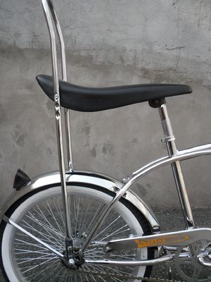20 Inch Steel CP Frame Coaster Spring Fork Mini Child Lowrider Bike with Ordinary Pedal