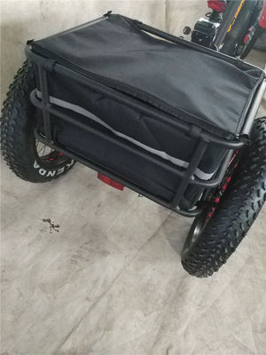 750W Electric Bike 3 Wheels Adult Fat Tire E Trike Cargo Torque 70-80 Nm Disc Brakes