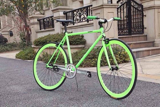 Single Speed Bicycle 700c Fixie Bike with KMC Chain and Gross Weight 13kg