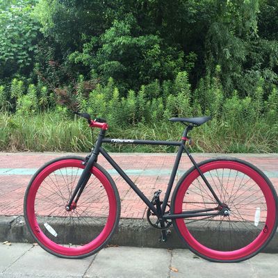 Single Speed Bicycle 700c Fixie Bike with KMC Chain and Gross Weight 13kg