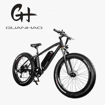 30-50Km/h Max Speed 1000W 48V 17AH Electric Mountain Bike with 7 Speeds and Disc Brake