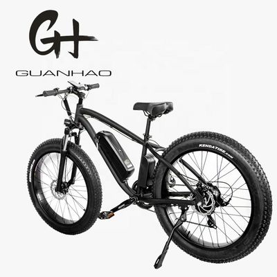 30-50Km/h Max Speed 1000W 48V 17AH Electric Mountain Bike with 7 Speeds and Disc Brake