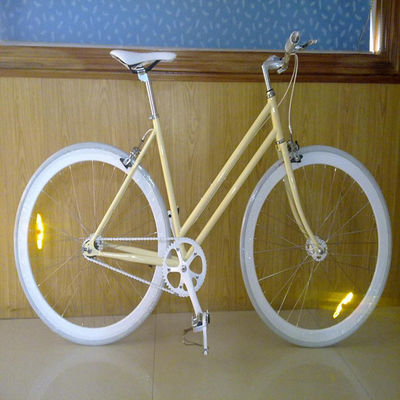 Single Speed Bicycle Classic City Cruiser Bike Women Step Through Lady Bikes 1.8m Long
