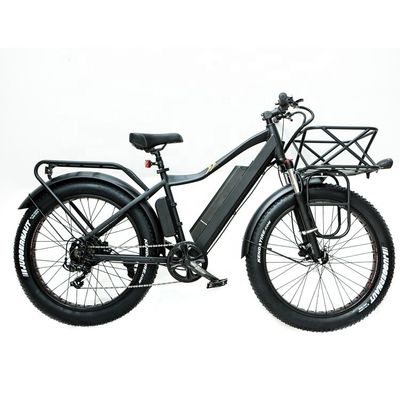 52V 1000W Bafang Motor 17AH Lithium 55KM/H Rear Hub Snow Fat Tire Mountain Electric Bike
