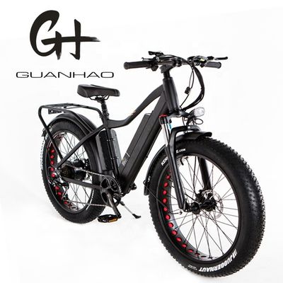 52V 1000W Bafang Motor 17AH Lithium 55KM/H Rear Hub Snow Fat Tire Mountain Electric Bike