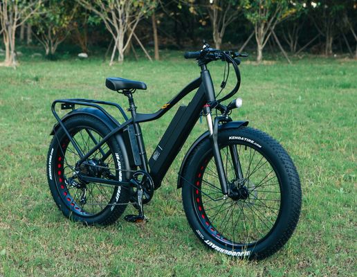 52V 1000W Bafang Motor 17AH Lithium 55KM/H Rear Hub Snow Fat Tire Mountain Electric Bike