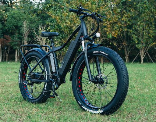52V 1000W Bafang Motor 17AH Lithium 55KM/H Rear Hub Snow Fat Tire Mountain Electric Bike