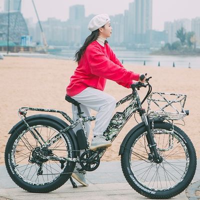 52V 1000W Bafang Motor 17AH Lithium 55KM/H Rear Hub Snow Fat Tire Mountain Electric Bike
