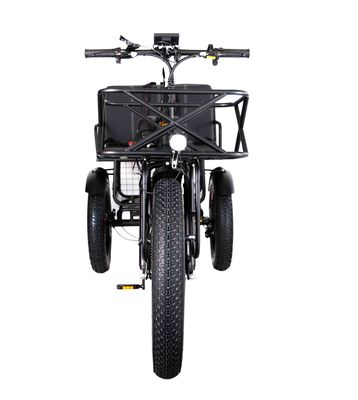 Lightweight Aluminum Frame Electric Tricycle 48V 750W 21AH 50KM/H for Adult Passenger