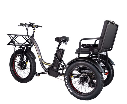 Lightweight Aluminum Frame Electric Tricycle 48V 750W 21AH 50KM/H for Adult Passenger