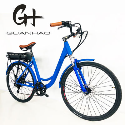 500W 48V 14AH Lithium Battery Rear Rack 50KM/H Women Girl Step Thru Electric City Bike