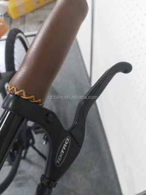 26 Inch Men's Single Speed Vintage Spring Fork Beach Cruiser for Flatland Competition