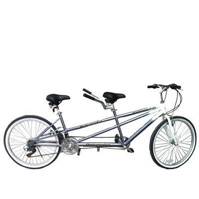 26inch 18 Speed Mountain Retail 20% Off CE OEM EN14764 Double Person Tandem Bicycle