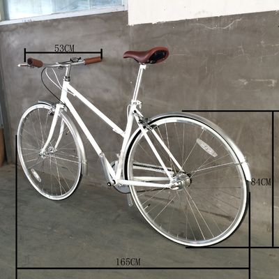 Vintage CR-MO Steel 4130 Lady Women Girl Inner 3 Speeds City Bike for Europe Market