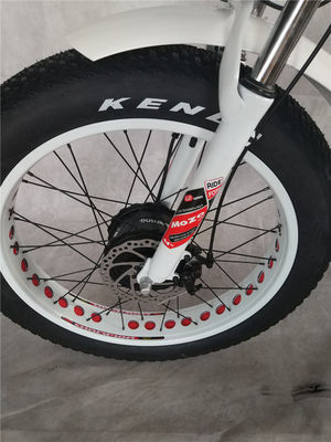 750W Front Motor 24 4.0 Fat Tire Snow 48V E Trike Three Wheel Cargo Electric Tricycle