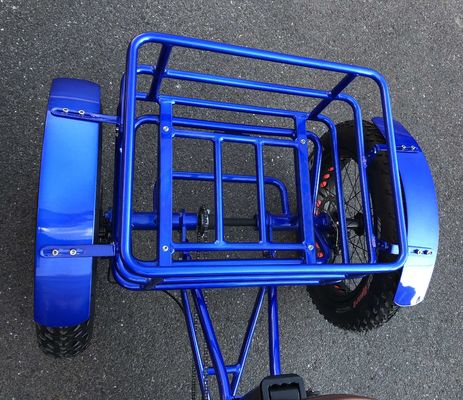 24-20&quot; Cargo OEM Tricycle with 750W Big Motor 21AH SM Lithium Battery 45KM/H UL2849